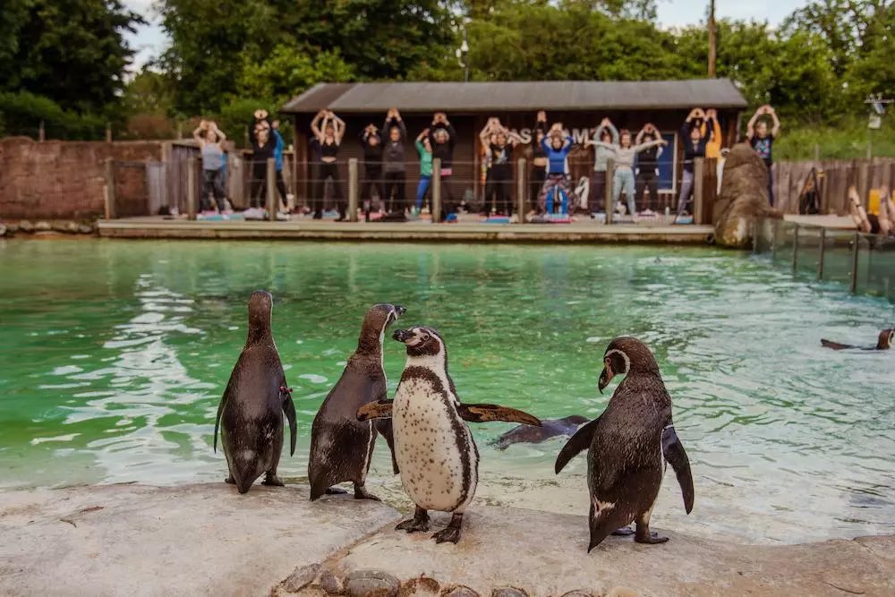 Bernard Donoghue tweet media