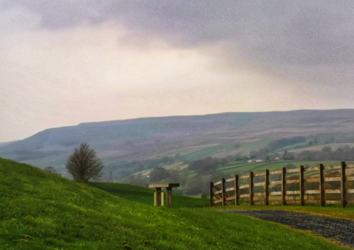 MyFaveBench's tweet image. If you enjoy the views from a pew why not pop over to @MyFaveBench we love to share #Bench views just as much as you.
#BenchLove #pewswithviews #BenchFans