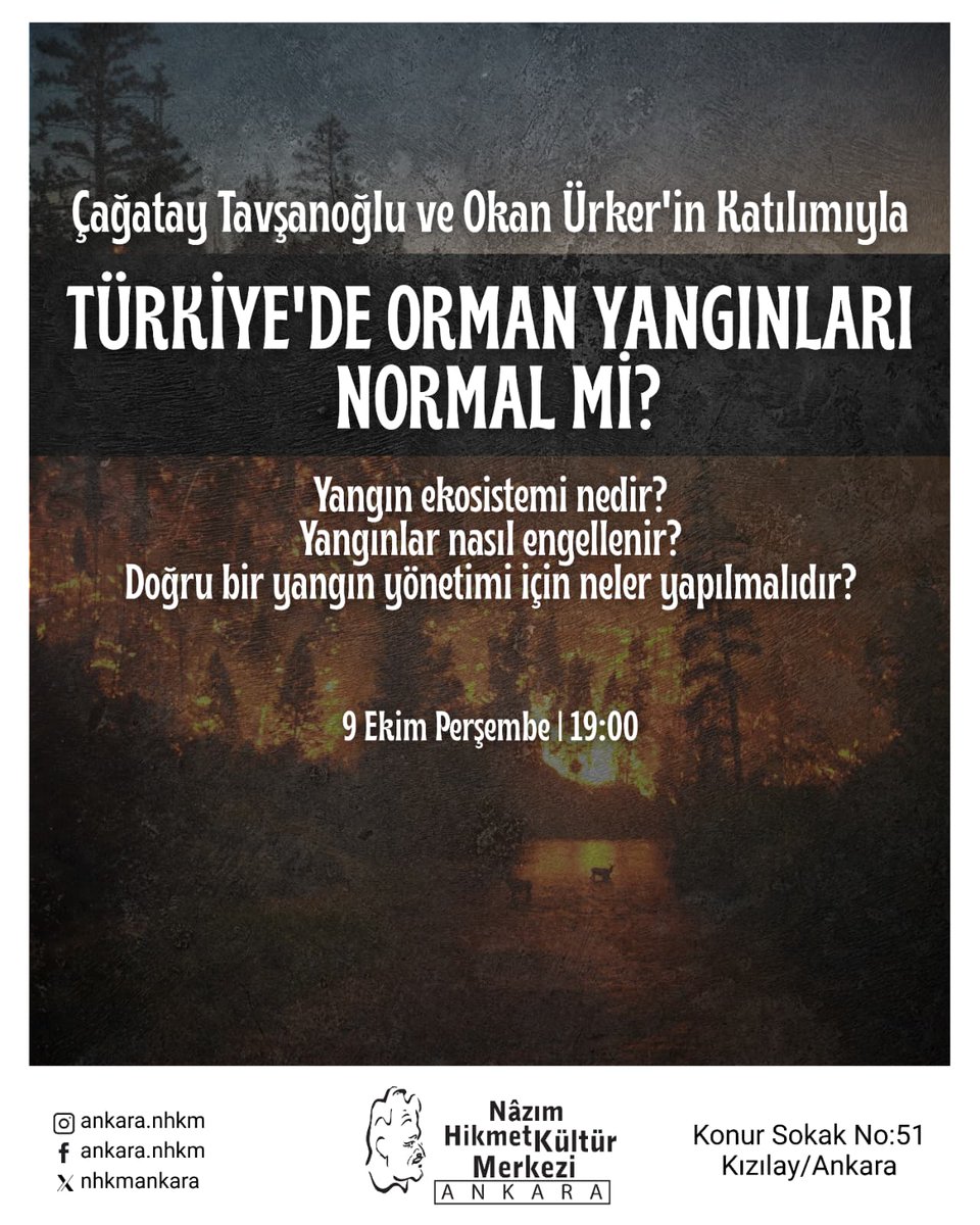 Çağatay Tavşanoğlu tweet media