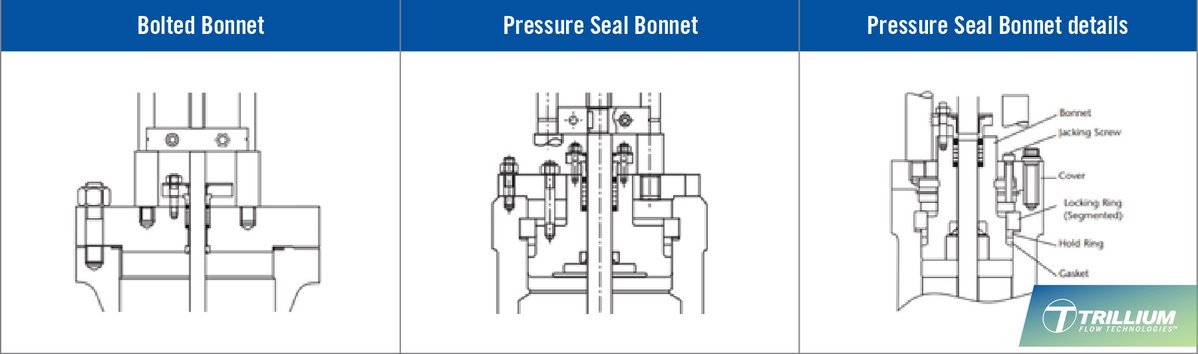 Trilliumflow's tweet image. Pressure seal valves have evolved from post-WWII innovation to modern reliability. Trillium’s graphite pressure seal conversions with stainless steel caps deliver better sealing, faster installation, and lasting durability.
#ValveEngineering #FlowControl #GraphiteSeals