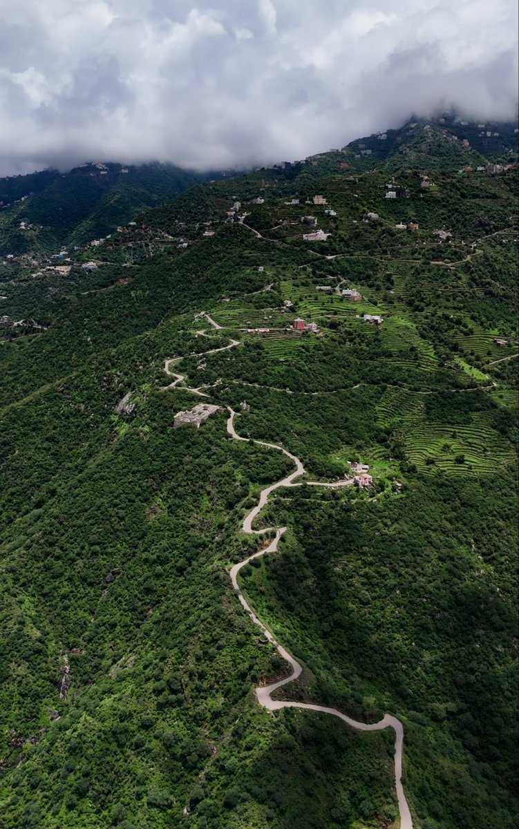 عمرو النجار (@amranjjar) on Twitter photo 