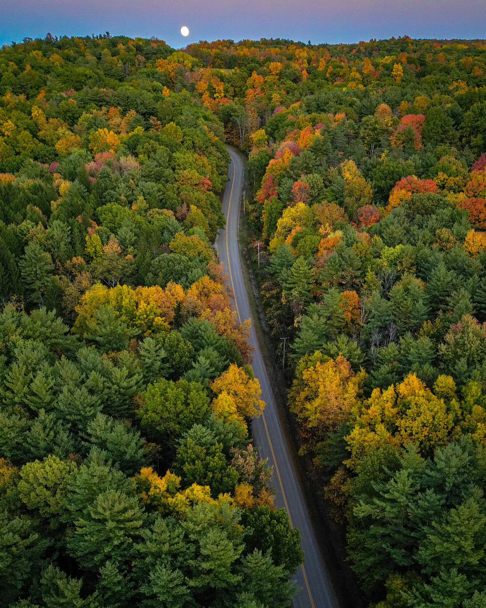 Finger Lakes Travel tweet media