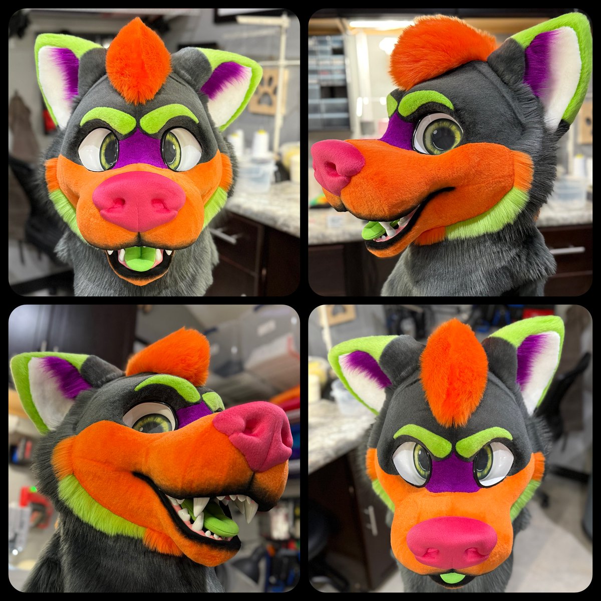 This floppy-eared husky is being finished up right in time for Halloween!!

Let’s all give <a href="/Pup_Screech/">Pupscreech</a> a big welcome to the pack!!!

More pics coming soon!