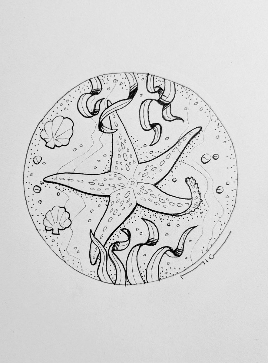 Alexis_MiG's tweet photo. Jour 7 - Starfish / Étoile de mer #inktober #inktober2025 #starfish #etoiledemer #inktober2025starfish https://t.co/gl1SBP7iTM