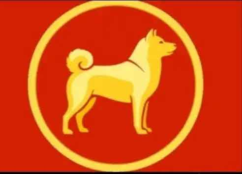 Sol Shanks tweet media