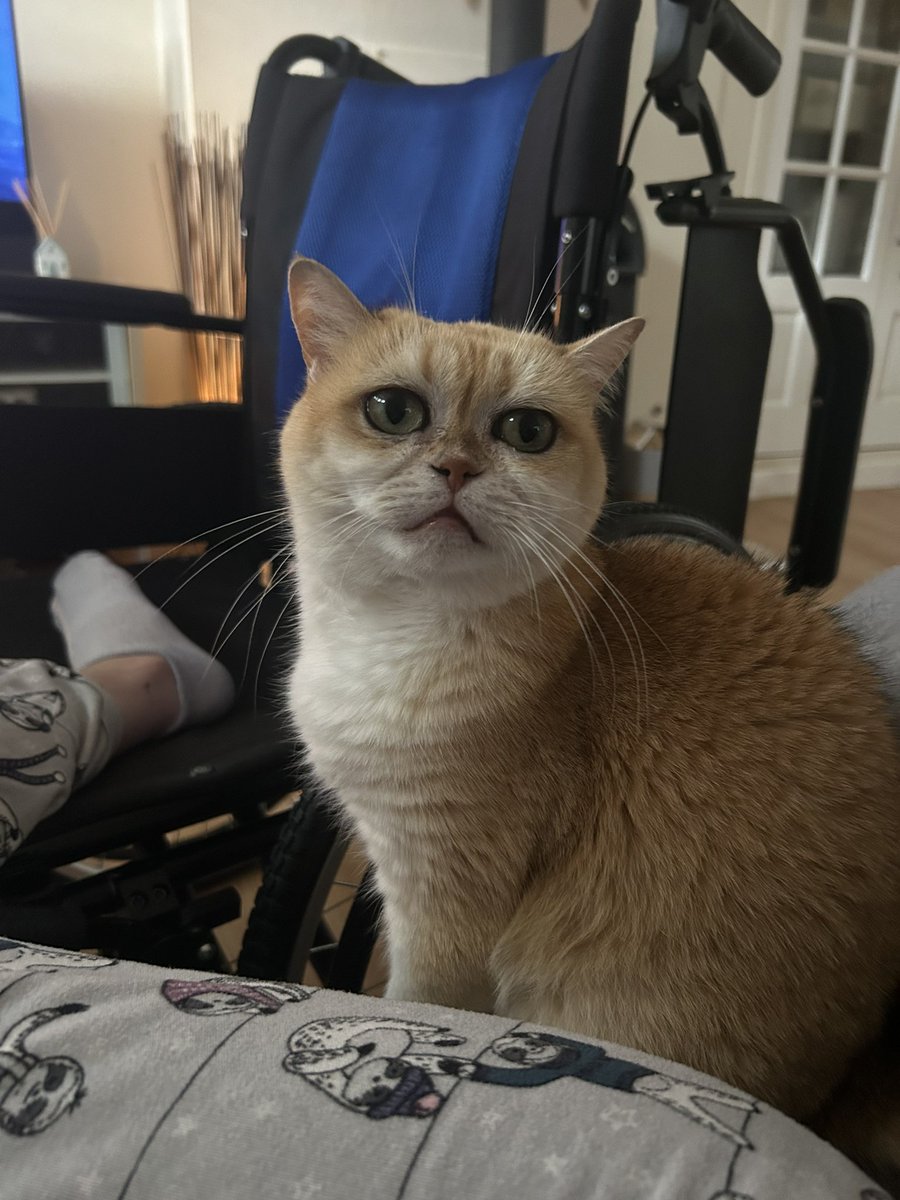 mimybug's tweet image. ime lookingy at yuo :)