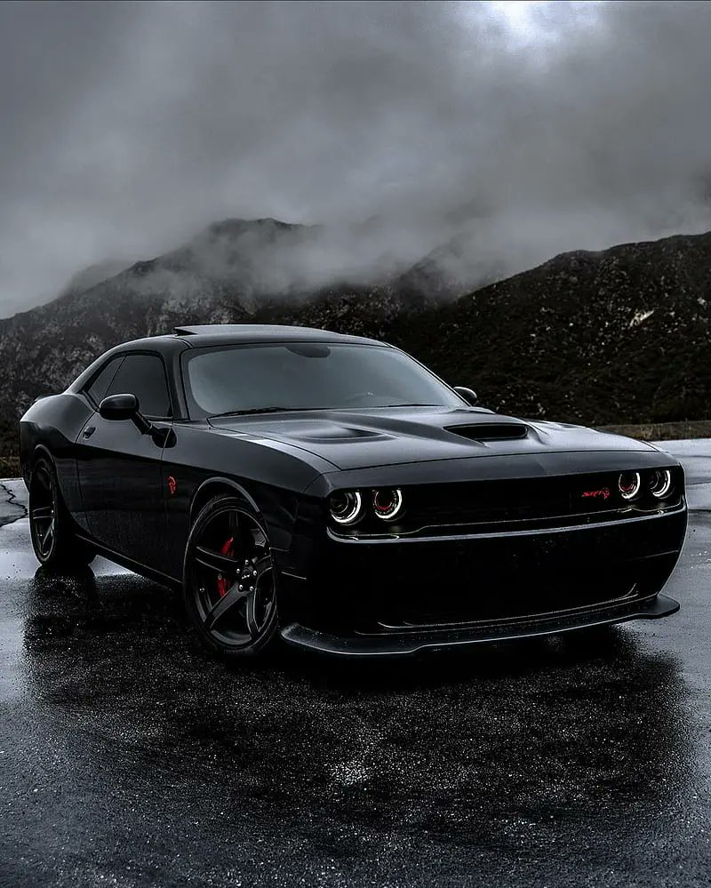 LeafyCoin13's tweet photo. I've always wanted to drive my dream car, which is a Dodge Challenger, so I decided to start a campaign to raise money to buy this dream car.  
By donating just $10 or $15, you can help grow the campaign and get me to Azrum. 

#viral https://t.co/FU0sxY8f9r