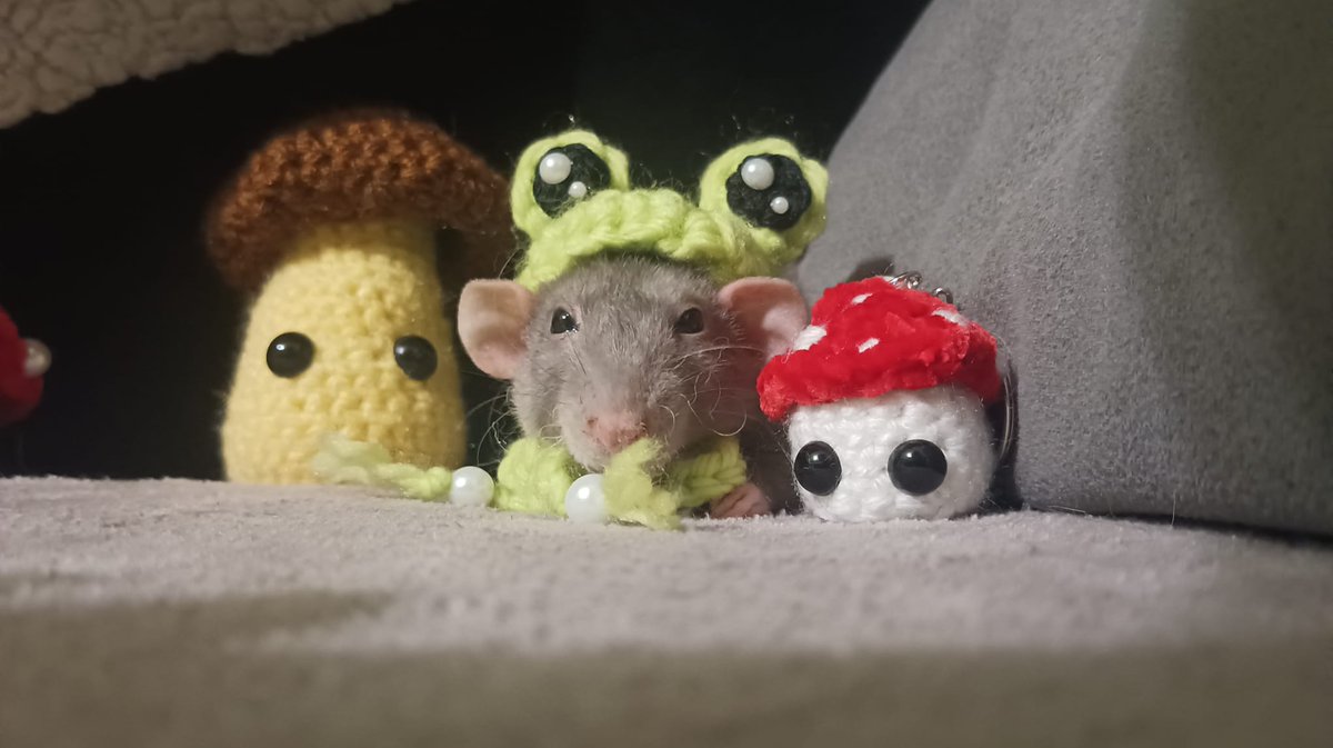 Patatakamikaze tweet media