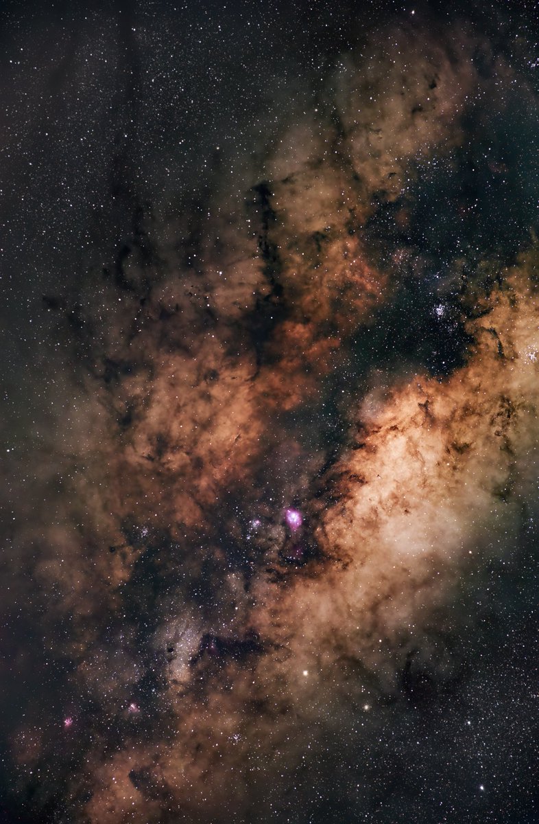 Franco Meconi tweet media