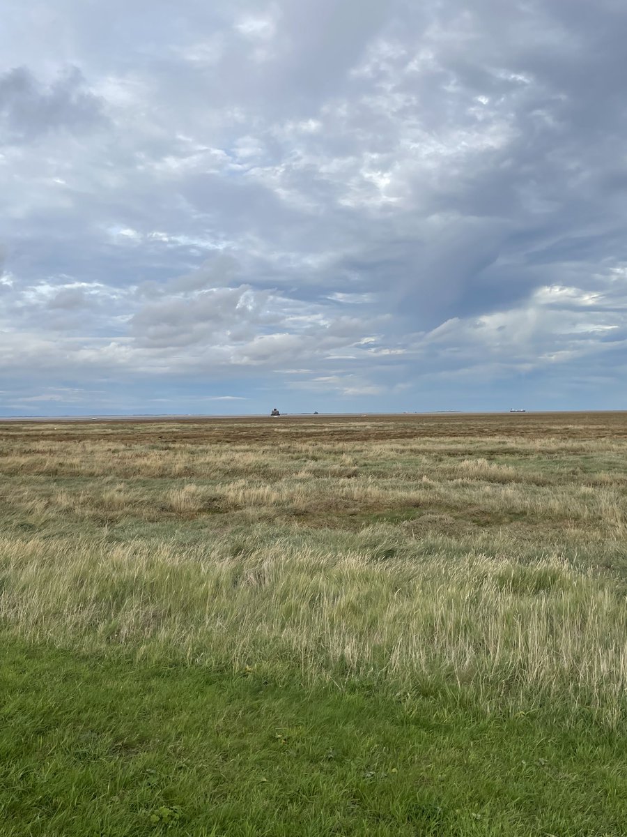 Ian McMillan tweet media