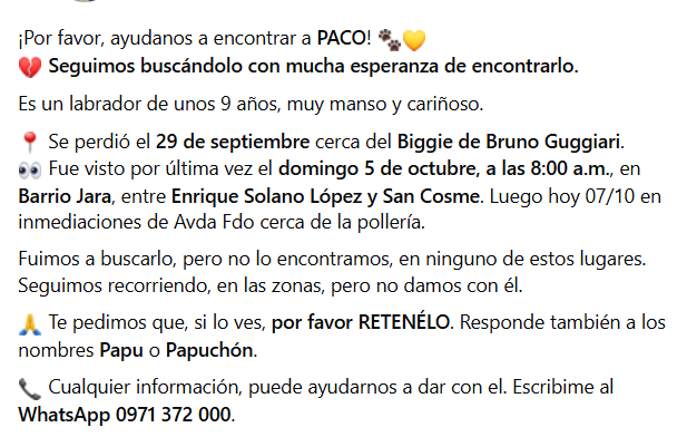 Migrava09's tweet photo. ¡Por favor, ayudanos a encontrar a PACO! Labrador de unos 9 años, muy manso.  Se perdió el 29 de sep cerca del Biggie de Bruno Guggiari.
Visto el 5 de octubre, en Bo Jara, entre Enrique Solano López y San Cosme. Luego hoy 07/10 en inmediaciones de Avda Fdo cerca de la pollería. https://t.co/YD98CLnO0p