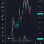 Photo by 0xstout.eth (@cryptostout)