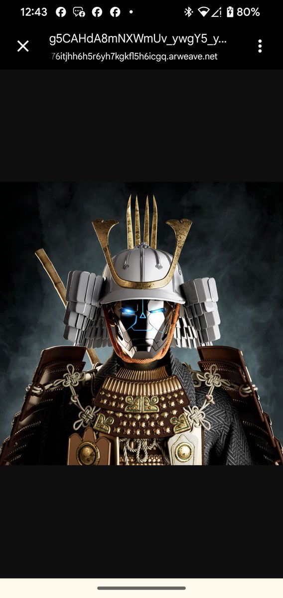 Very rare Mask recently picked up. Only 18 of them out of 2200. #Solana #solananft #NFTsSolana #bushido #SOL This art is so sharp. No AI, just pure artist talent. ⚔️🔥