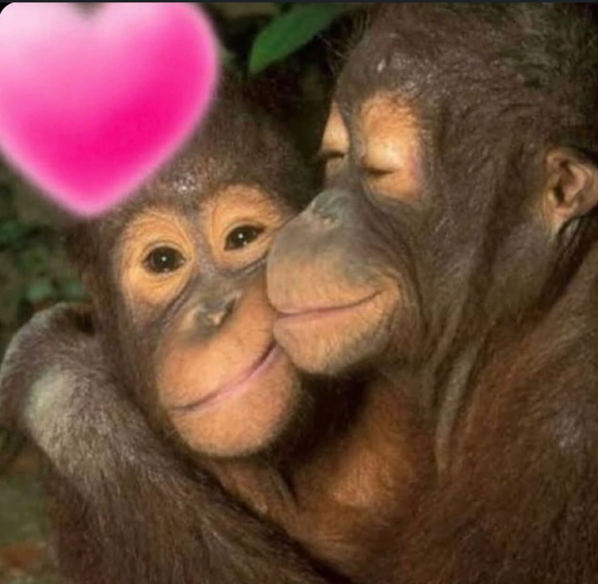 tagyourwho's tweet image. 