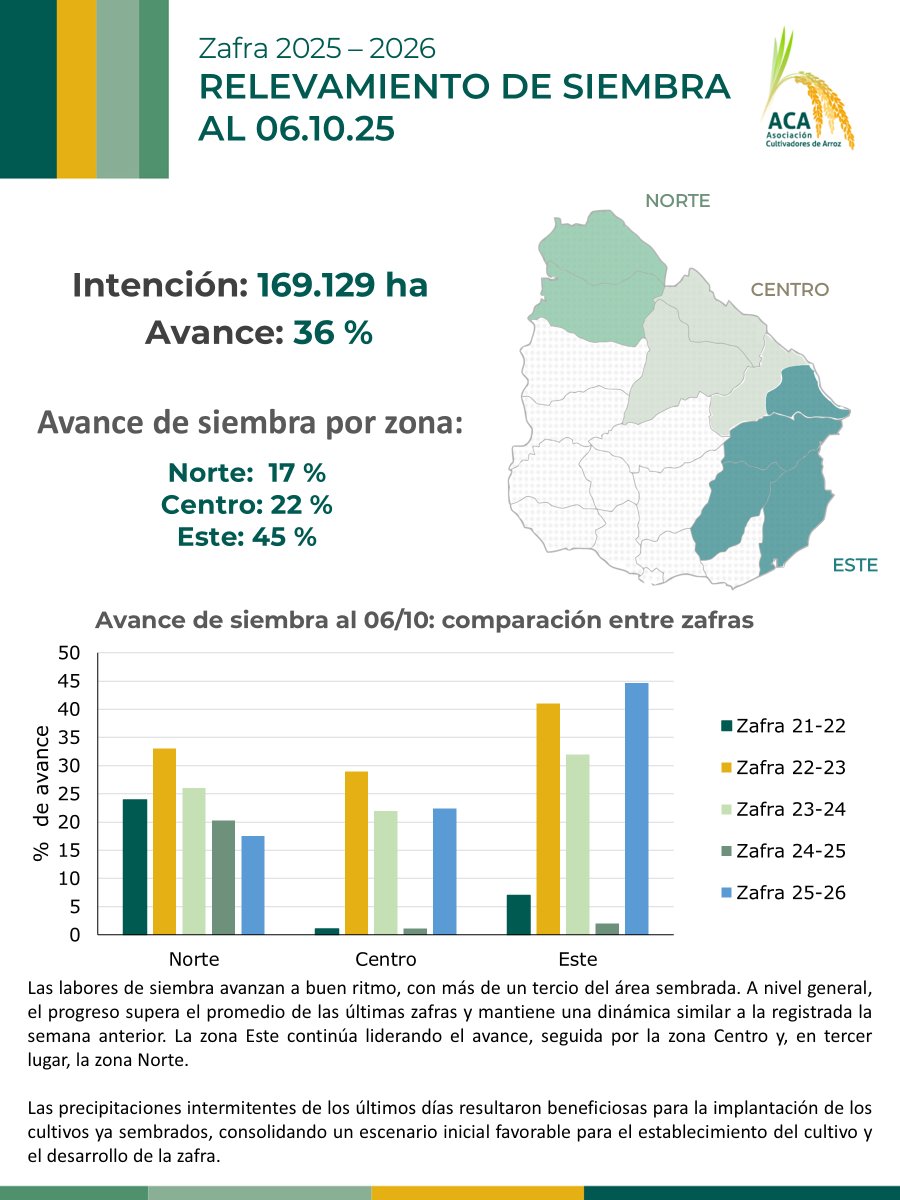 ⚪️ Zafra Arroz 2025/2026

➡️ El relevamiento de siembra al 7/10 alcanzó el 36% del área sembrada a nivel país.

➡️ Se mantiene la tendencia de avance diferencial entre zonas.

➡️ Los eventos de precipitaciones ocurridos son oportunos para la adecuada implantación del cultivo.