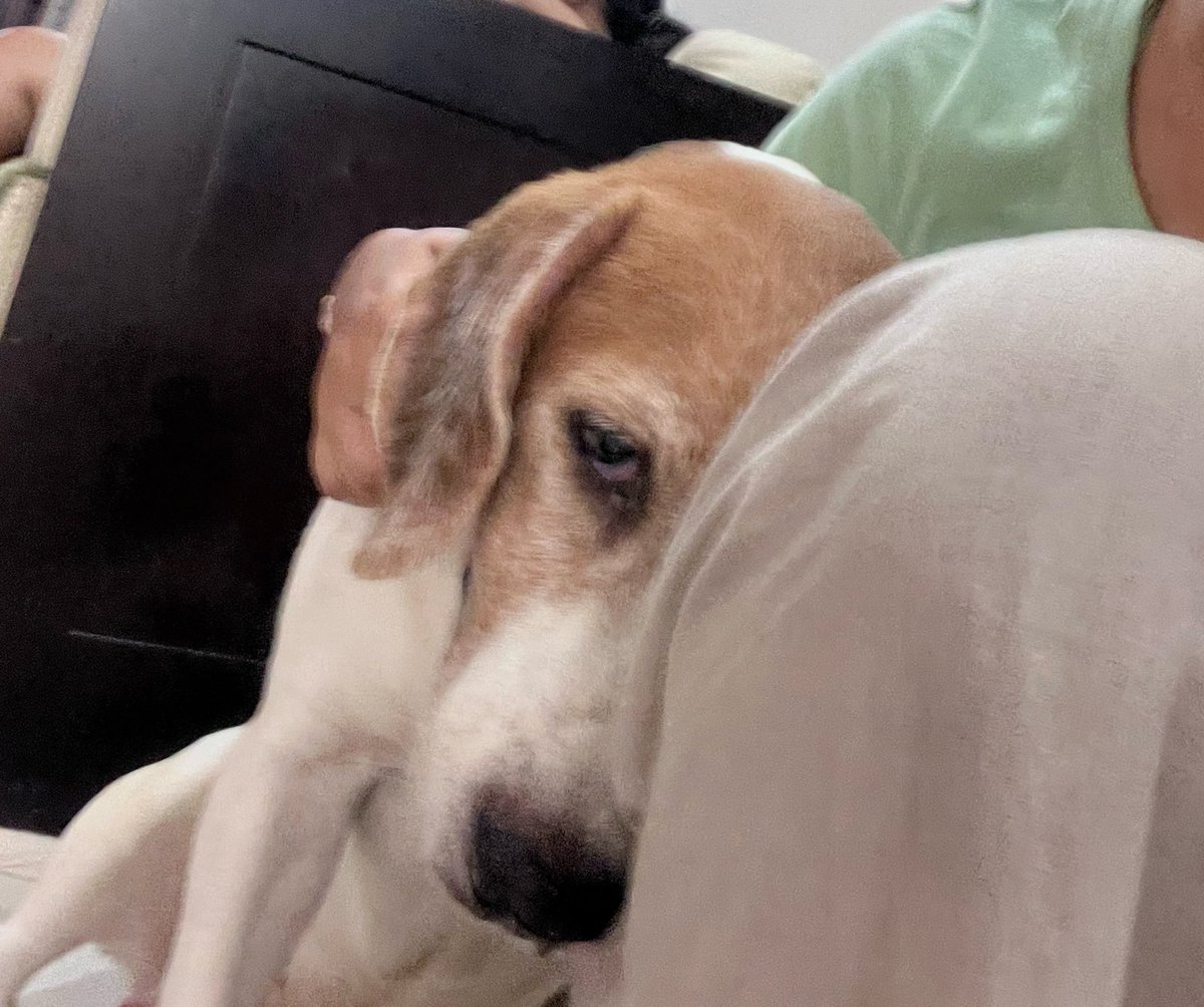 Sahani Peiris tweet media