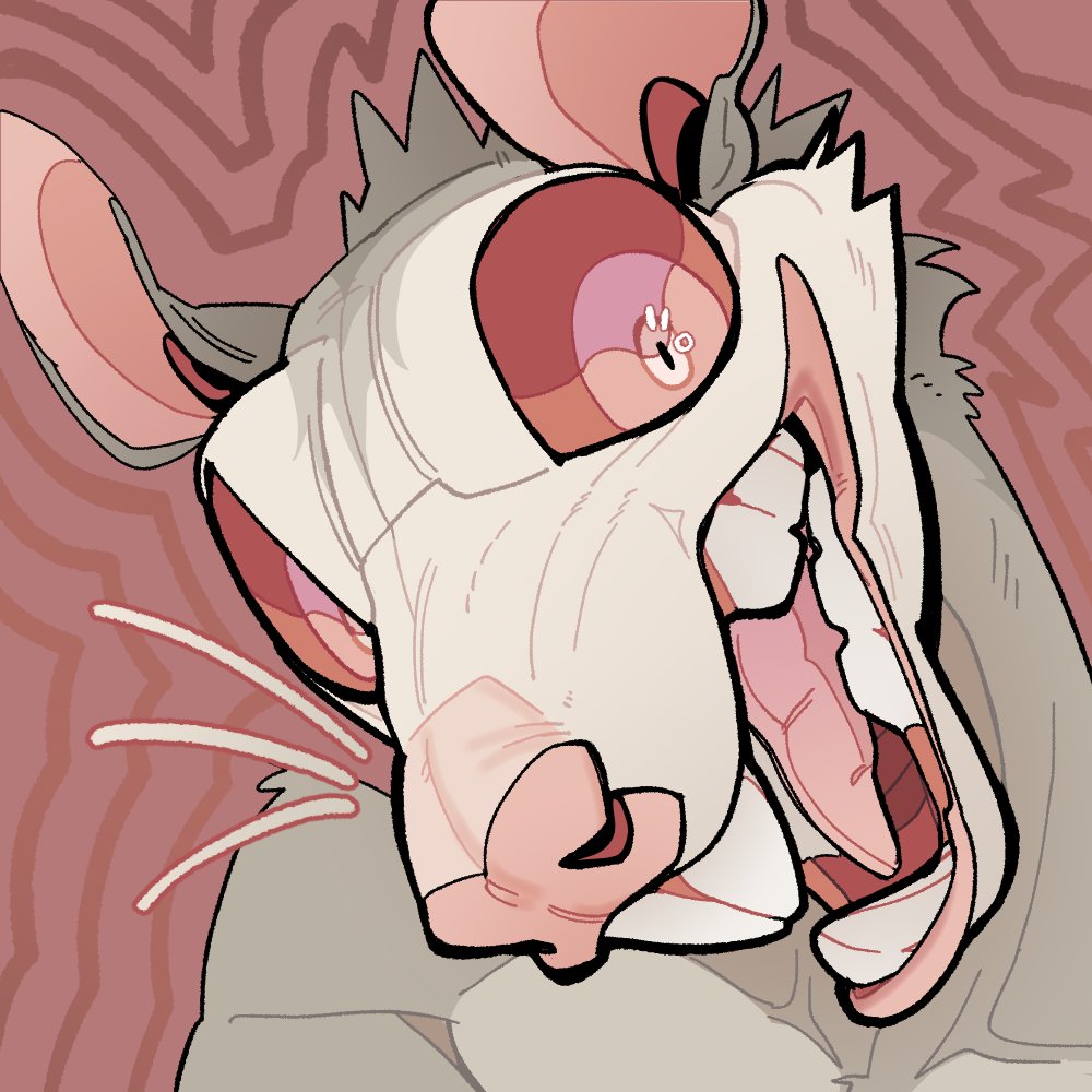 simple icons for a claimed rat adopt