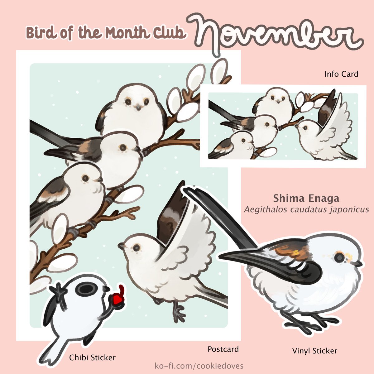 m e e s h 🕊 (@cookiedoves) on Twitter photo 