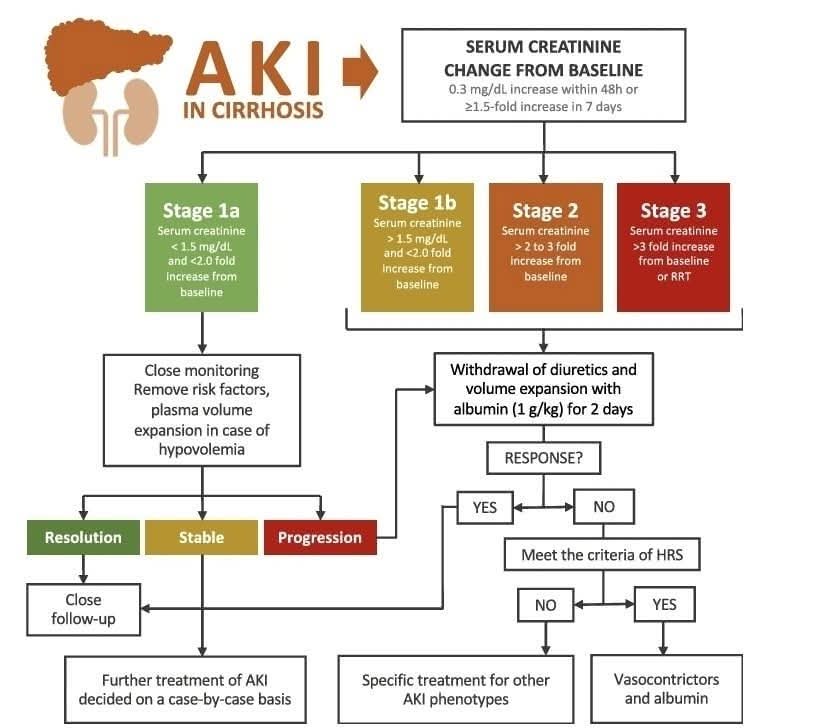 💥💧Uso de albúmina en pacientes críticamente enfermos.🛌
Notas cafeteras ☕️
Uso o mal uso de la albúmina♻️ en pacientes críticos, 6️⃣ revisiones bibliográficas que vale la pena leer🤔
Review. 
📍La prescripción intravenosa de albúmina en pacientes de cuidados críticos requiere un