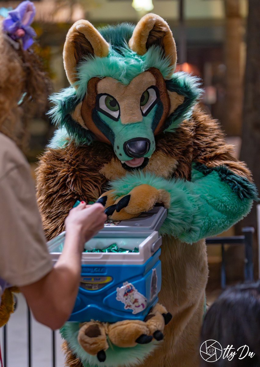 People often ask me how many Andes mints I've purchased since I've started giving them out as Ruvi...

Well...