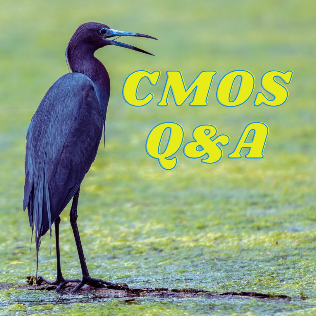 The Chicago Manual of Style tweet media