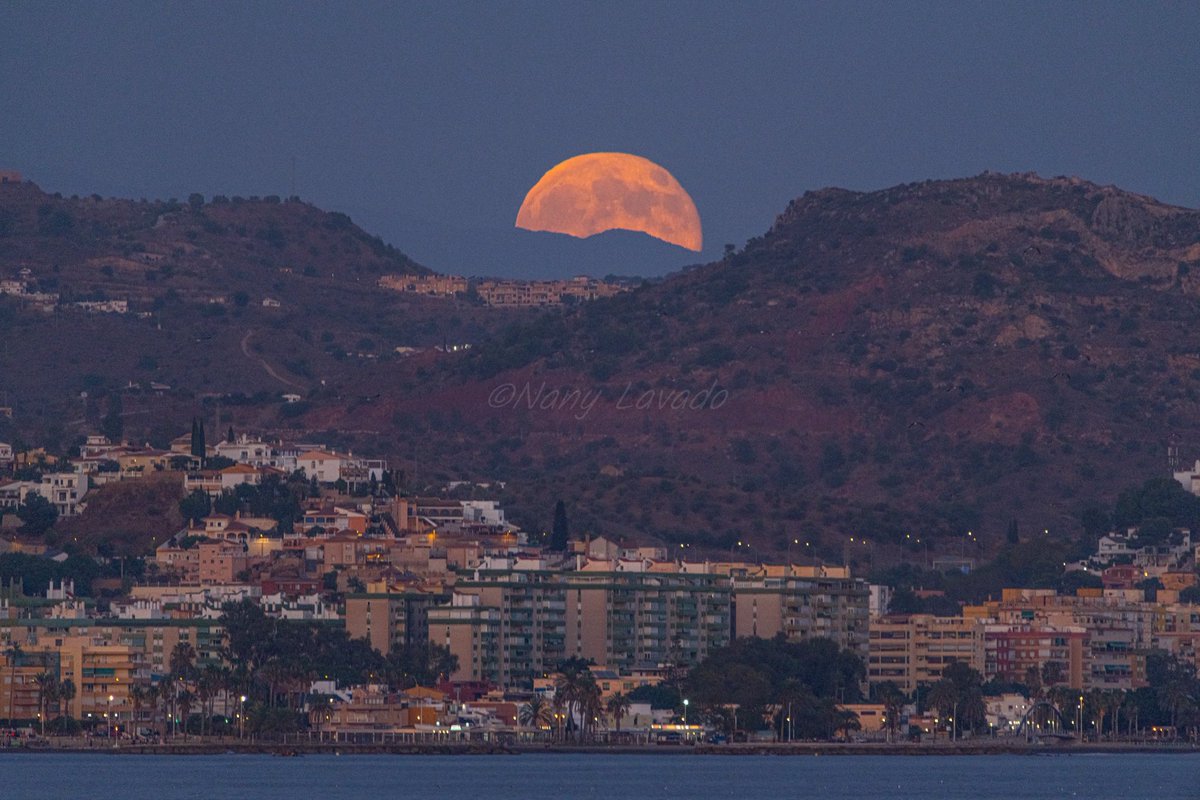 nanyfotografia's tweet photo. Hoy vemos la primera luna llena después del equinoccio de otoño 🍂.
Tradicionalmente su luz ayudaba a los cazadores a prepararse para el invierno.

Málaga 7/10/2025 

𝙇𝙪𝙣𝙖 𝙙𝙚𝙡 𝙘𝙖𝙯𝙖𝙙𝙤𝙧 https://t.co/DNBDFg3uuC