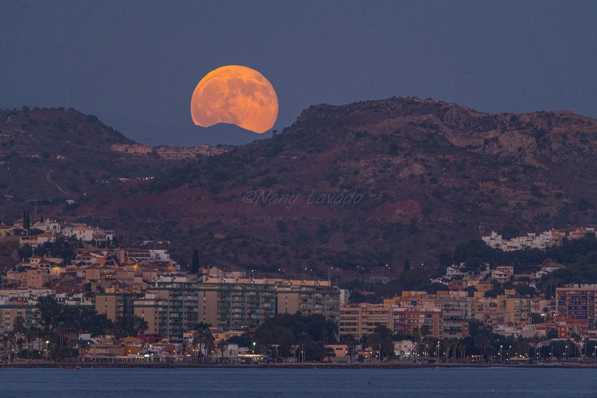 nanyfotografia's tweet photo. Hoy vemos la primera luna llena después del equinoccio de otoño 🍂.
Tradicionalmente su luz ayudaba a los cazadores a prepararse para el invierno.

Málaga 7/10/2025 

𝙇𝙪𝙣𝙖 𝙙𝙚𝙡 𝙘𝙖𝙯𝙖𝙙𝙤𝙧 https://t.co/DNBDFg3uuC