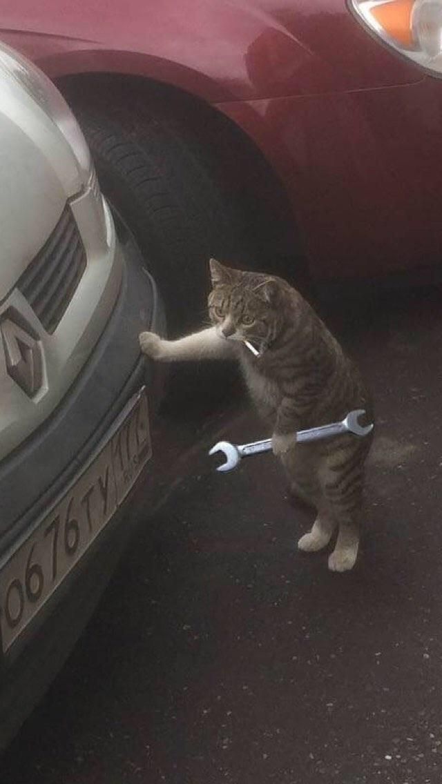 La cara del mecánico cuando informa que el carro no tiene arreglo y tienes que comprar otro. 😁