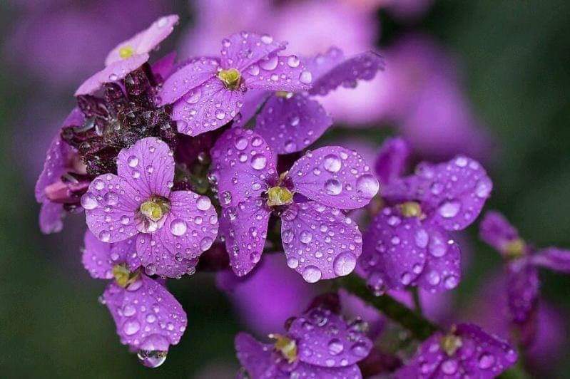 'Volkanın içinde üşüyen yüreğimin atışlarını hisseden beri gelsin' 
/NAİL HİLAL