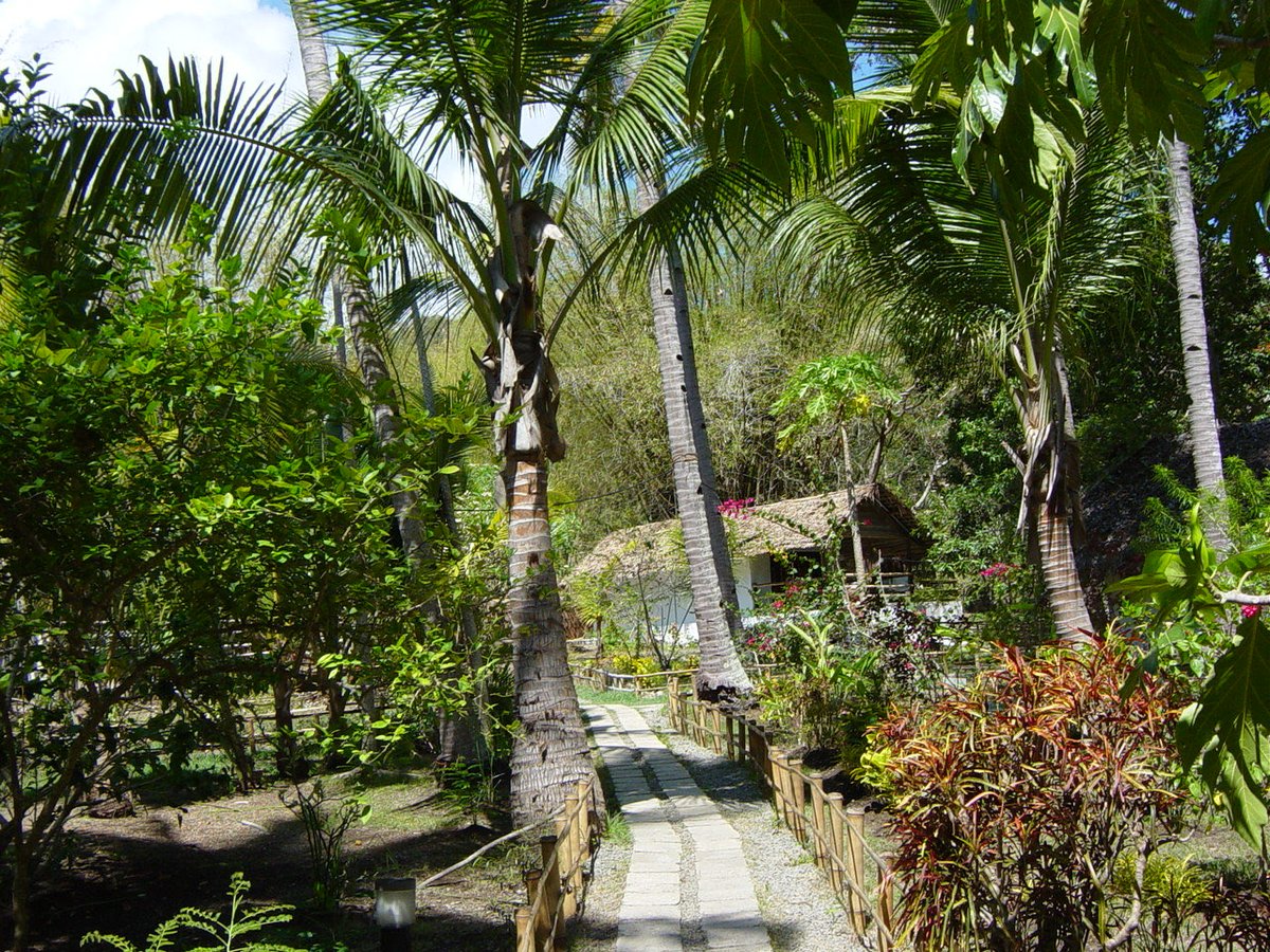 _onlyisaac's tweet photo. Il était une fois, N’GOUJA.

Mayotte - 2003📍 https://t.co/jiAzP1k40R
