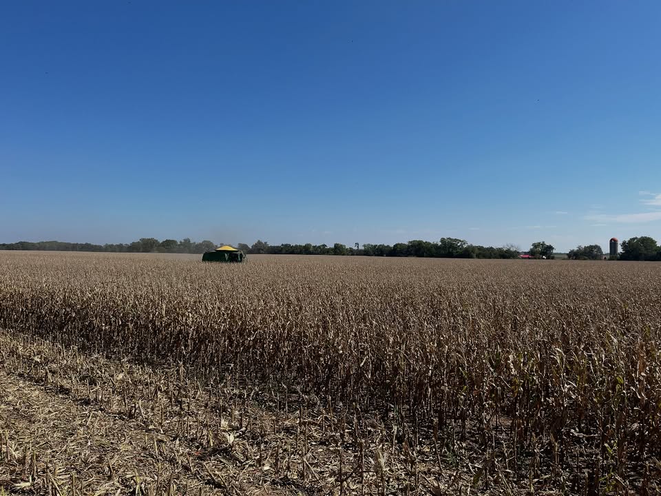Grain corn harvest has started for Peterson Farm Brothers! All the rain they had this year led to a bumper crop 🌽 They've been busy filling up their <a href="/siouxsteel/">Sioux Steel</a> grain bin. Taking a lot fewer acres to fill it up! 👍

#siouxsteel #harvest2025