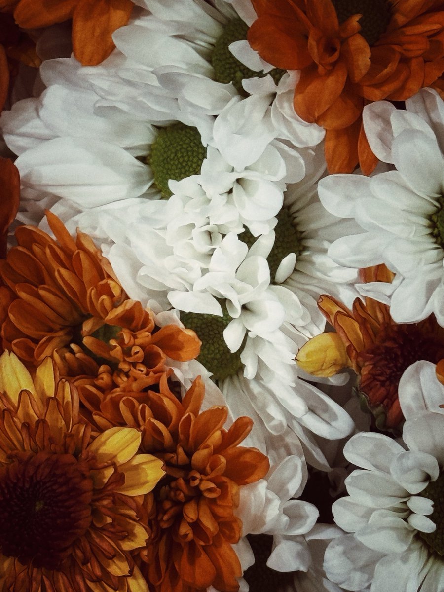 recthrpy's tweet image. 