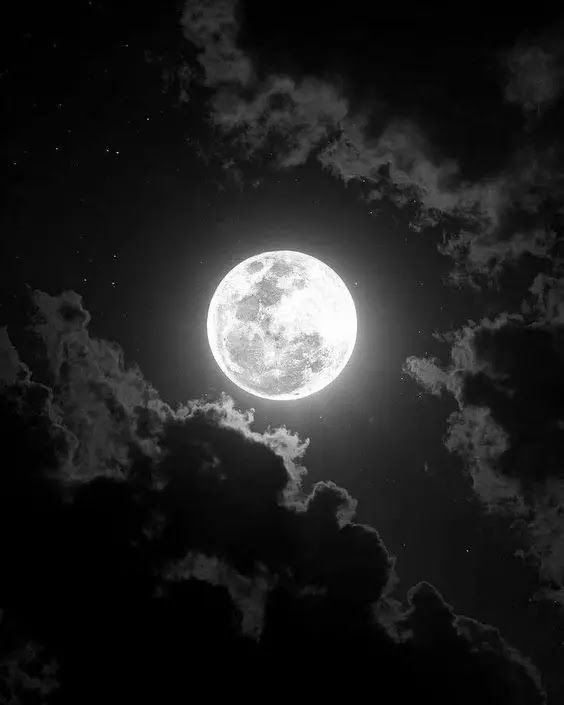 Alwafi480's tweet image. #قمر_الليله

حتى لو انك غايب عن العين اشوفك بالسماء
ترا شبيهك…. ياغلا هالروح ….. توه مكتمل 😍

#الوافي