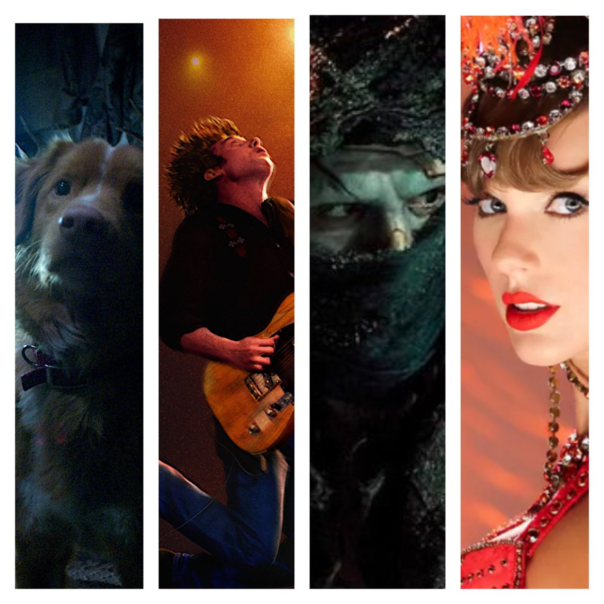 Peter Howell 🖊 tweet media