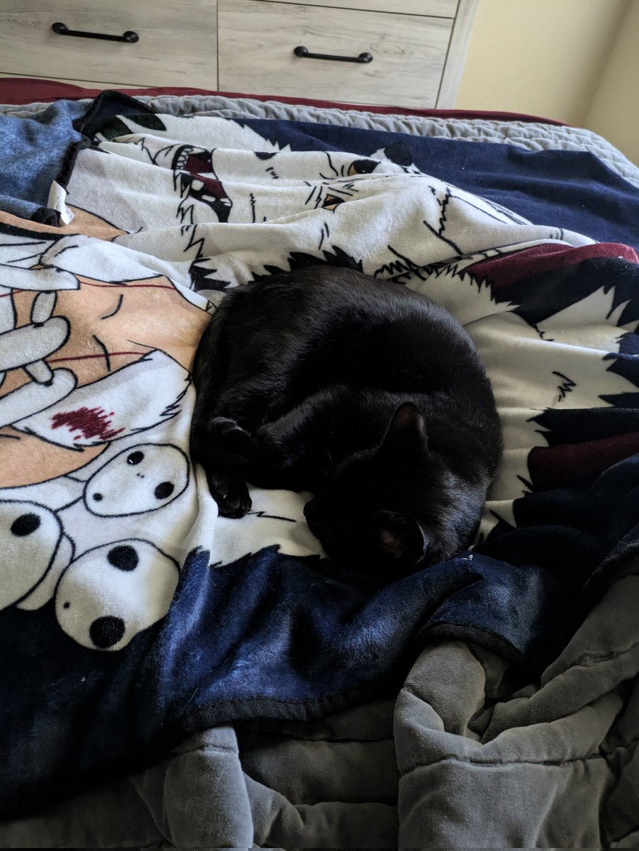 Morohamaru's tweet photo. Chat will never find him https://t.co/v5RGE1WYYH