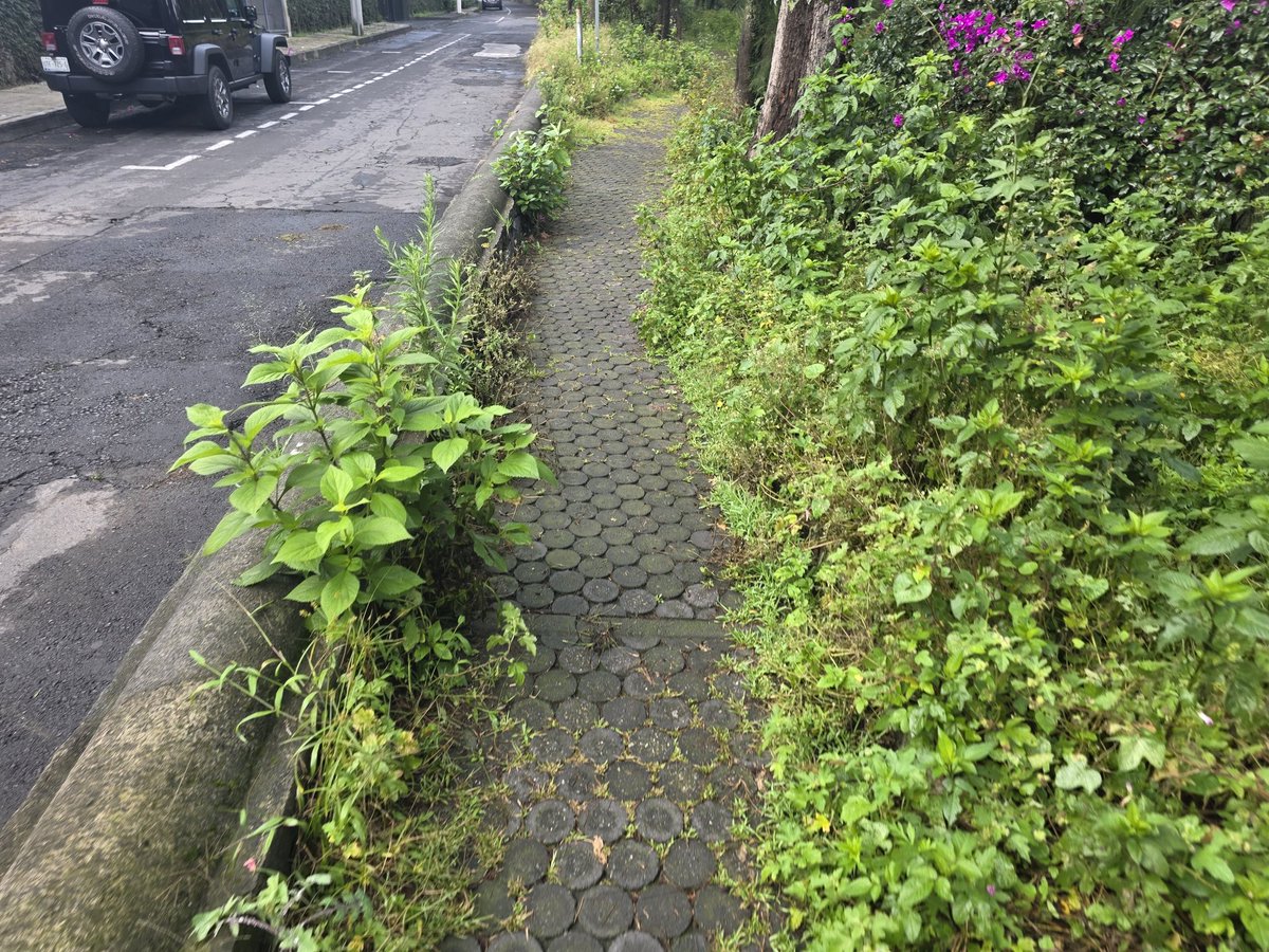 Ferclau2's tweet photo. @mauriciotabe @AlcaldiaMHmx @MHcesac @ChapultepecCDMX @B_Barrilaco @cclomaschapulte @LOMAS_ @vecilom @vecilomas La Barranca Barrilaco está totalmente olvidada, es una pena que tengamos un lugar tan bonito totalmente descuidado y desatendido https://t.co/BpGaeBzN3z