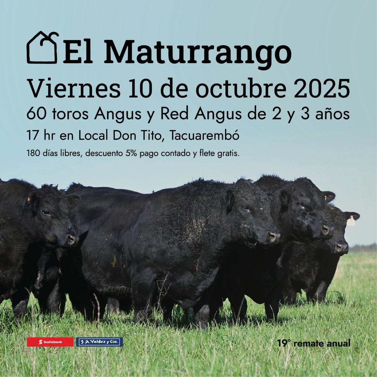 Cabaña El Maturrango realizará este viernes 10, con <a href="/ValdezyCia/">Valdez & Cia</a>, su remate anual de toros Angus y Red Angus, en Don Tito, Tacuarembó. Yamandú Blanco, integrante de la cabaña, describió la oferta y condiciones del remate.
soundcloud.com/user-856587651…