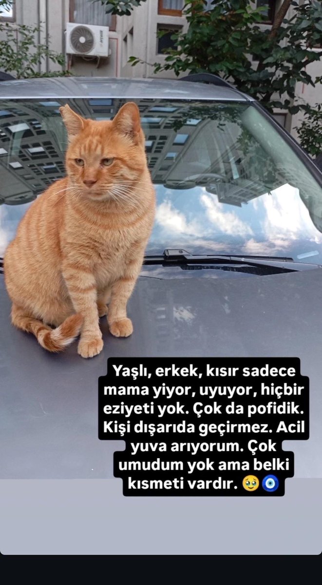 YUVA…🏘️🙏
Üsküdar/İstanbul

0536 238 85 99

<a href="/AysemOzleyis/">Ayşem Özleyiş Oğuz 🌱</a>