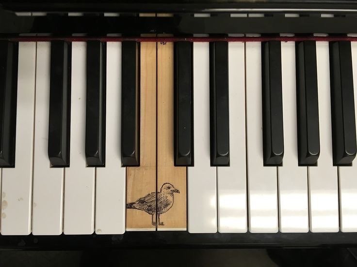 ¡Buenas noches!
Bona nit!