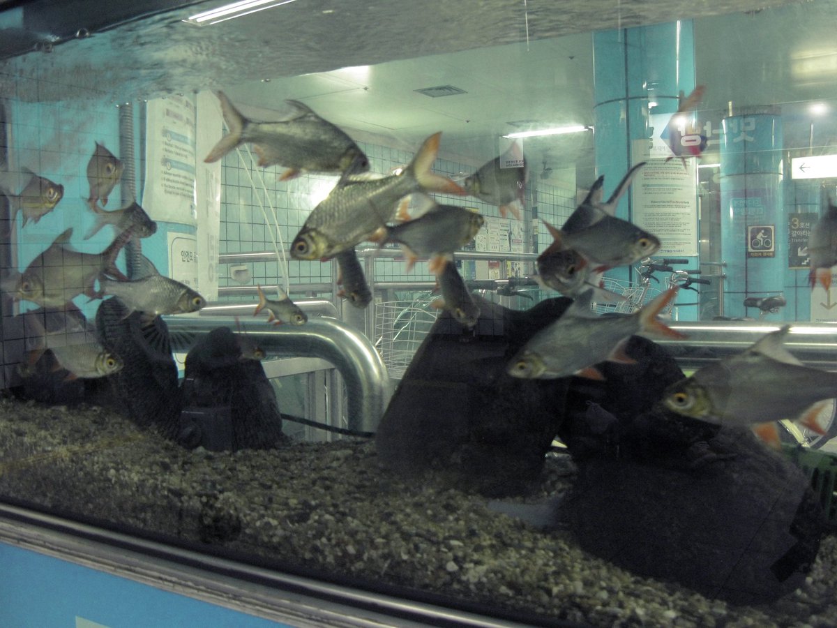 saeng1n's tweet image. 