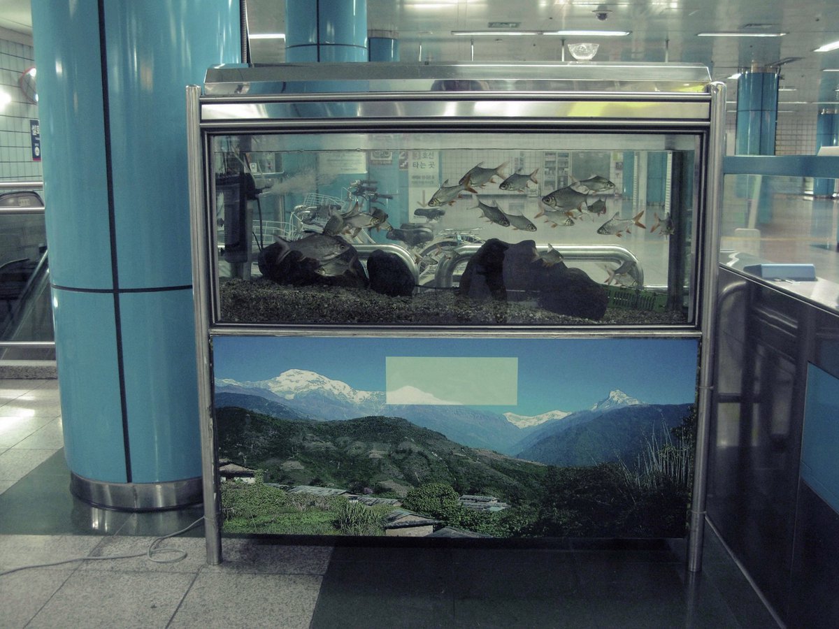 saeng1n's tweet image. 