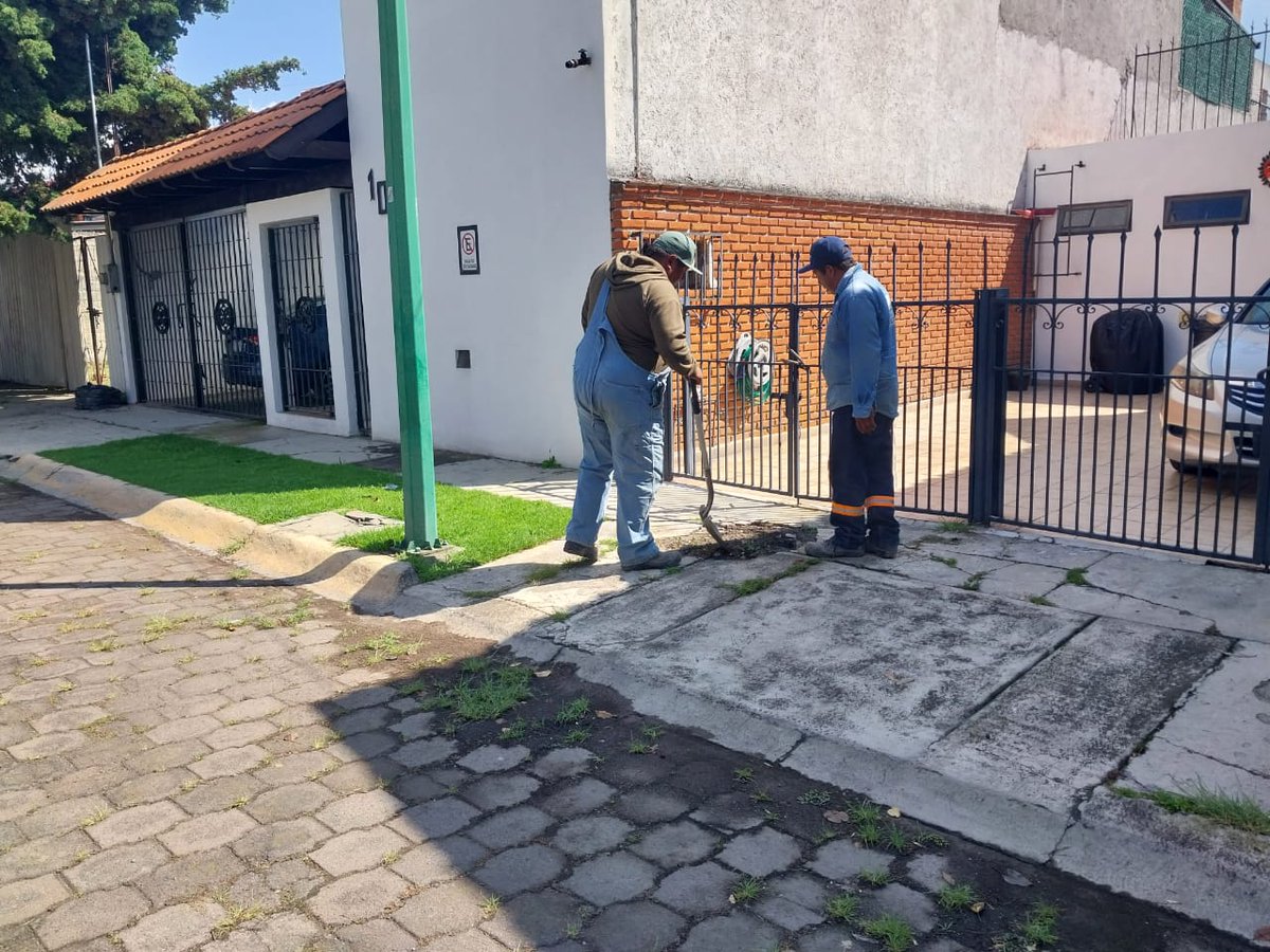 Un día más de esfuerzo y compromiso. Nuestros compañeros trabajaron con dedicación atendiendo diversas fugas en distintos puntos del municipio.
Agradecemos su entrega y a la ciudadanía por su confianza, ya que gracias a sus reportes podemos atender cada situación
#EstamosEnLaRuta