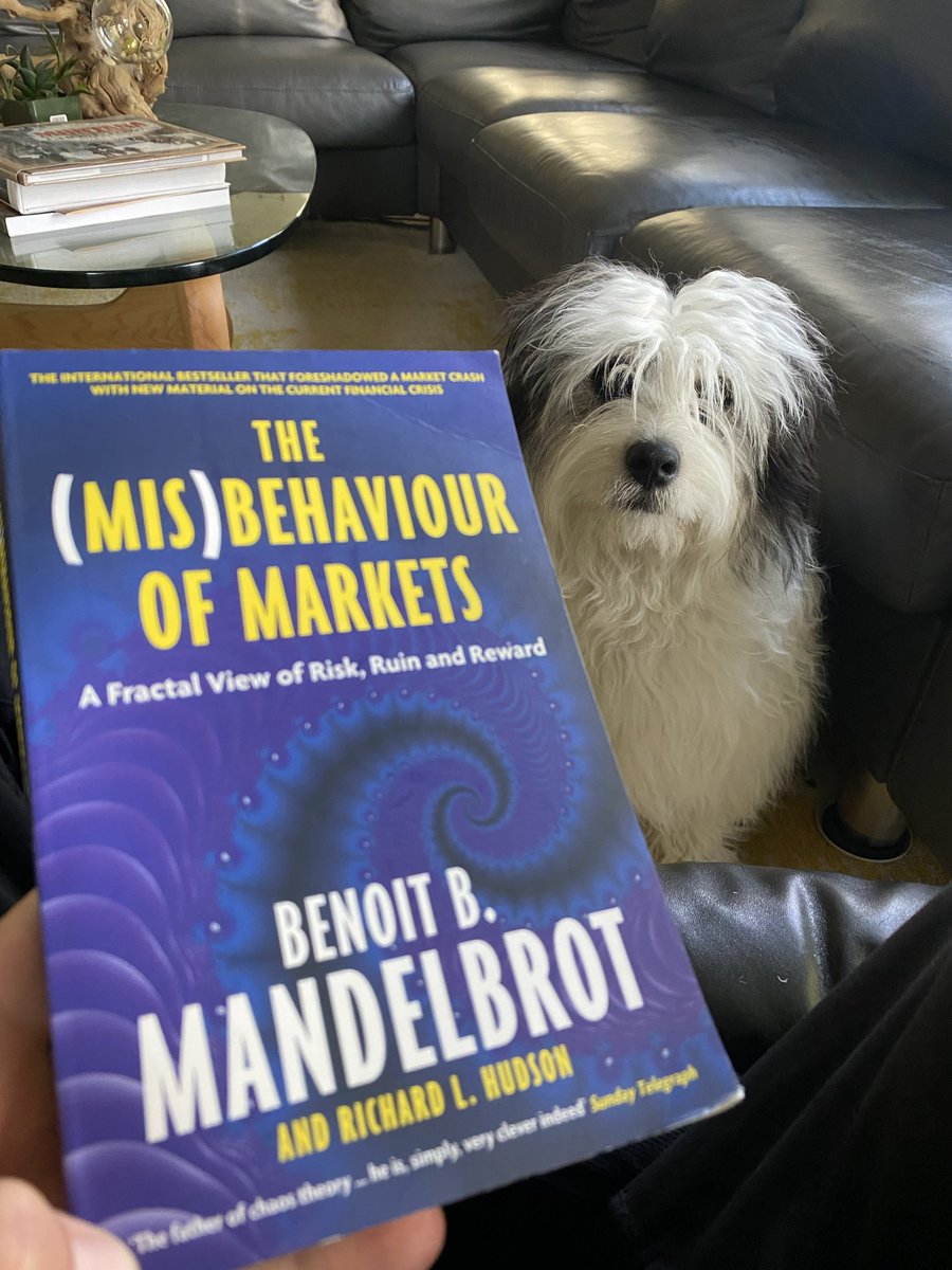 A dog posing with the book 'The (Mis)Behaviour of Markets' by Benoit B. Mandelbrot, highlighting fractal views in finance