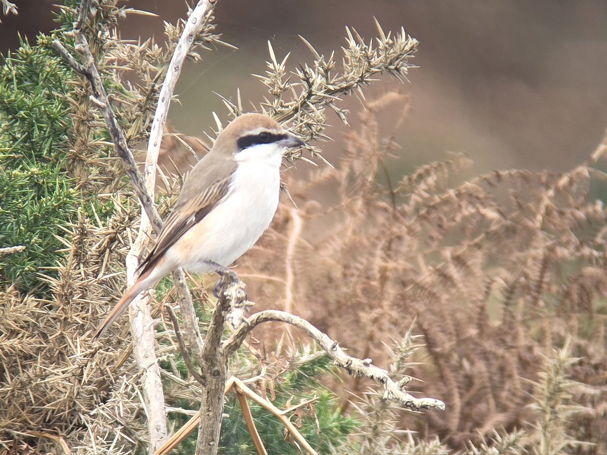 Stuart Read tweet media