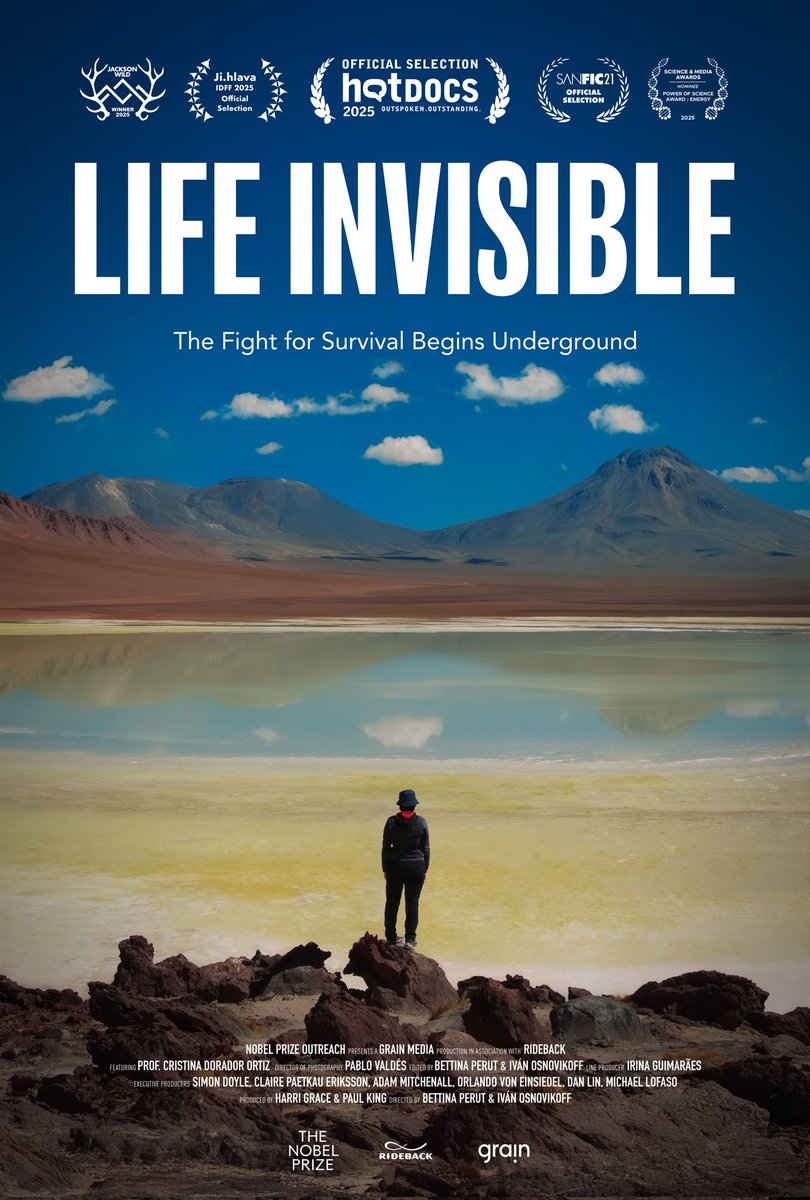 Amor por los salares y todas las formas de vida 🦩🩷🦠