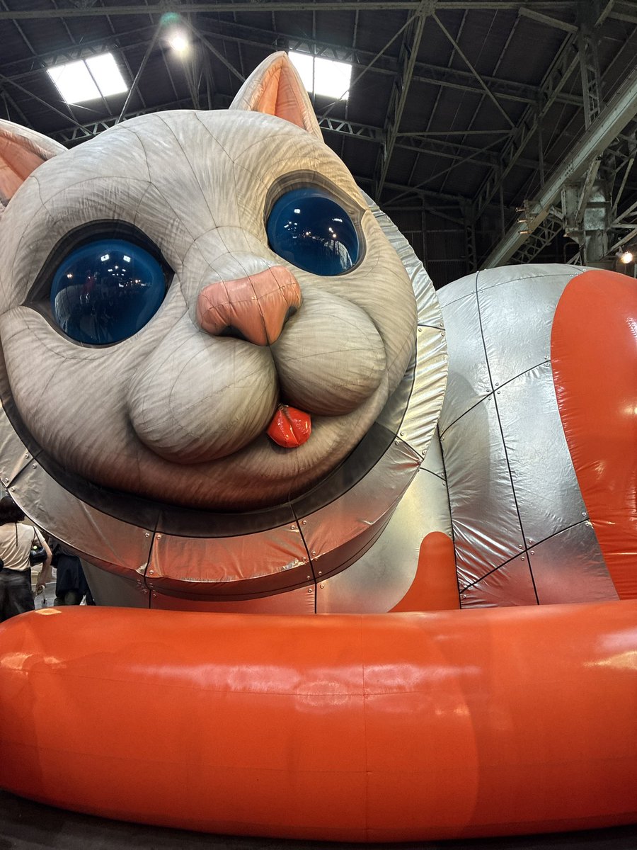 シップスキャット 宇宙猫 コスモレッドカラー 限定ヤノベケンジ氏