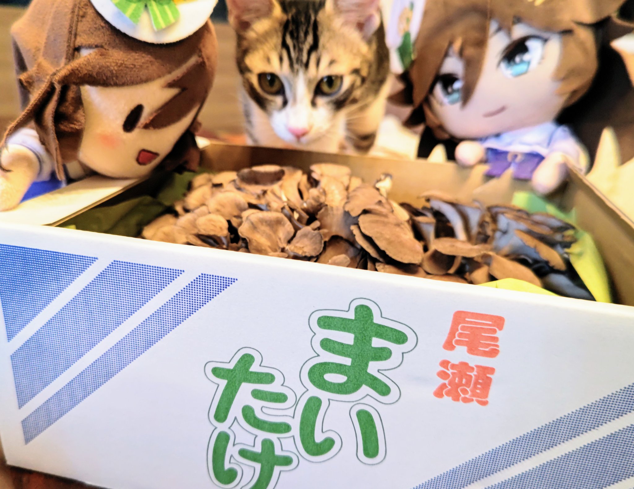 N.さん専用 ミスターシービー　コミケ　たろうまる　c105 c104 2025年最新】たろうまる ミスターシービーの人気アイテム - メルカリ