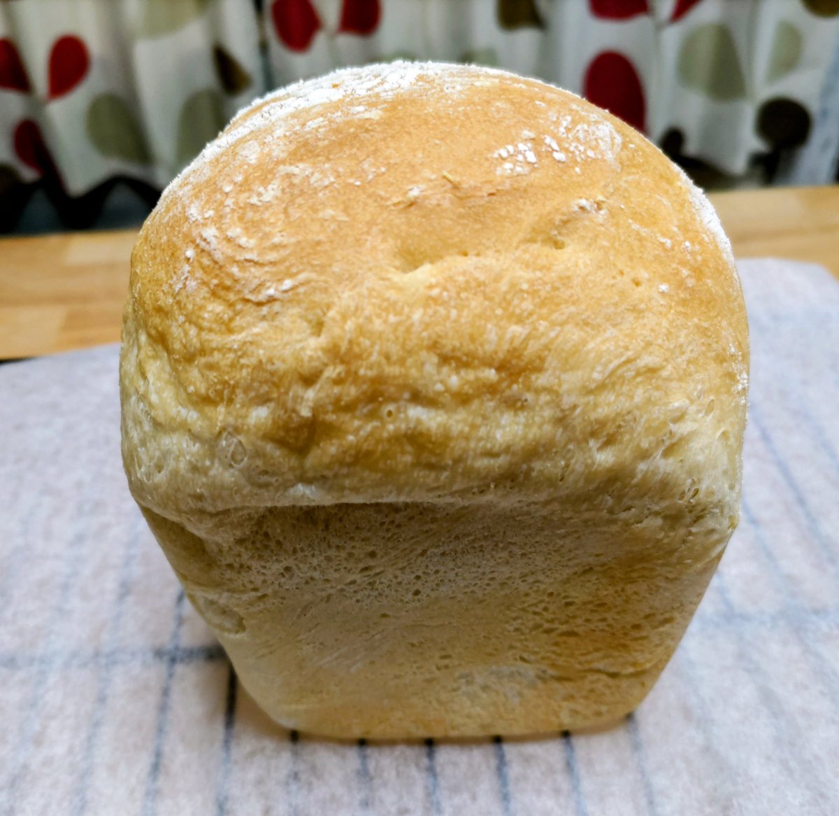 oishitabi's tweet photo. 食パン焼けた(⁠ ⁠◜⁠‿⁠◝⁠ ⁠)⁠♡ https://t.co/Hk5mGb8j8x