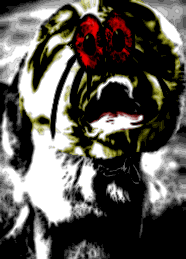 spherebob's tweet photo. Has selective breeding gone too far? Doctors say "No" https://t.co/jDJlx0GXZf