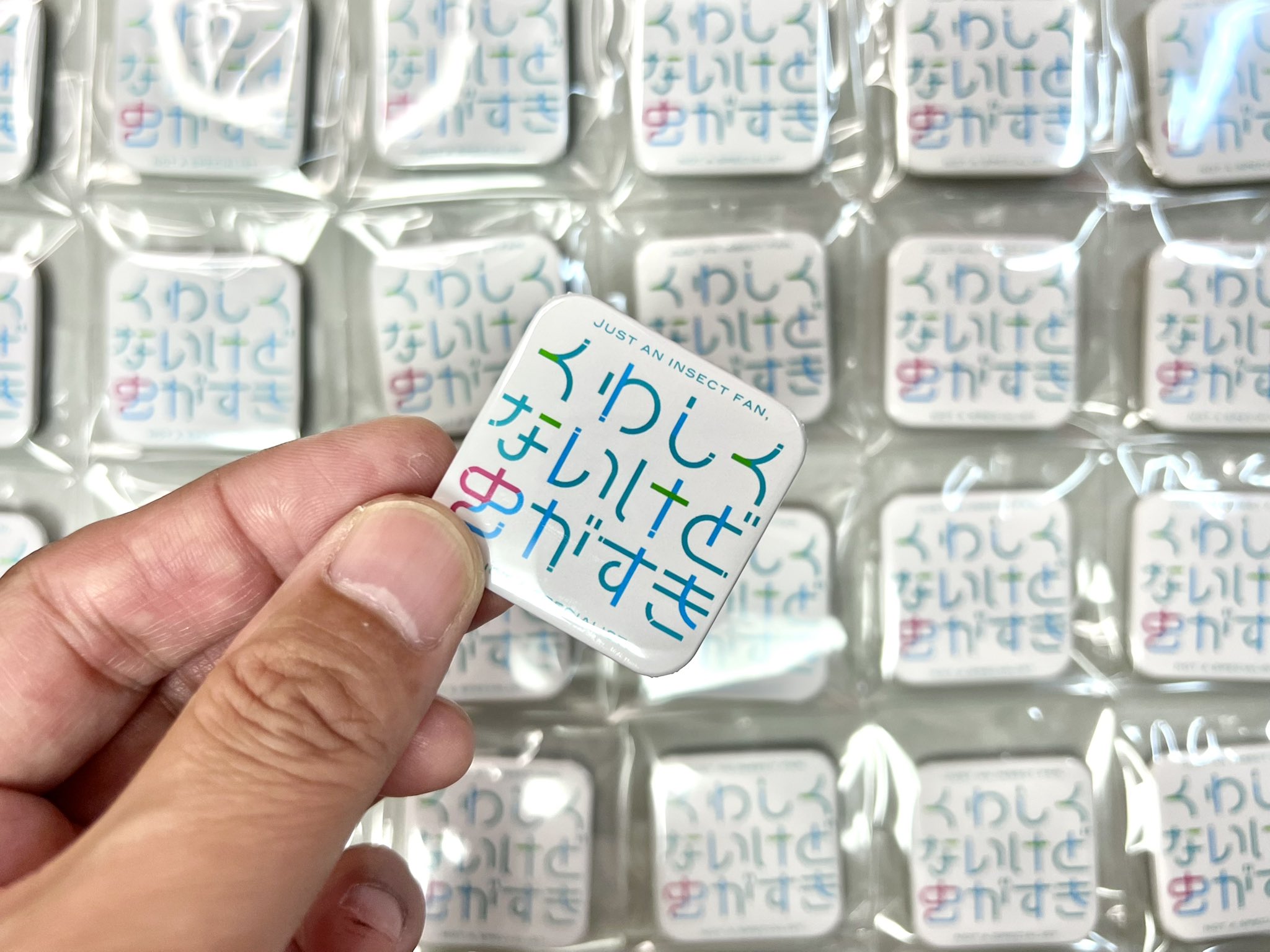 ✨めーこ✨ Zeroちゃん💫 @shinsei.galverse #90s#90sanime